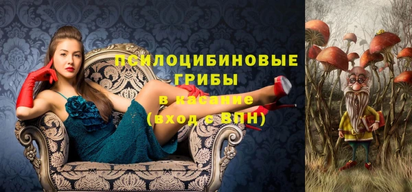 индика Алексин