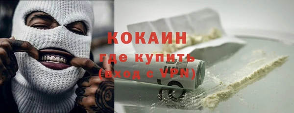 индика Алексин