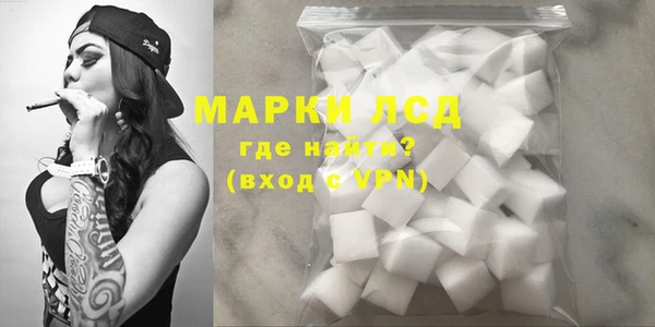 индика Алексин