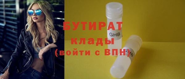 индика Алексин
