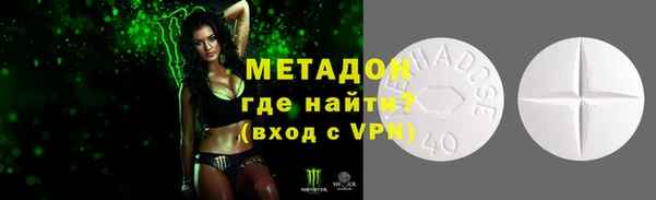 индика Алексин