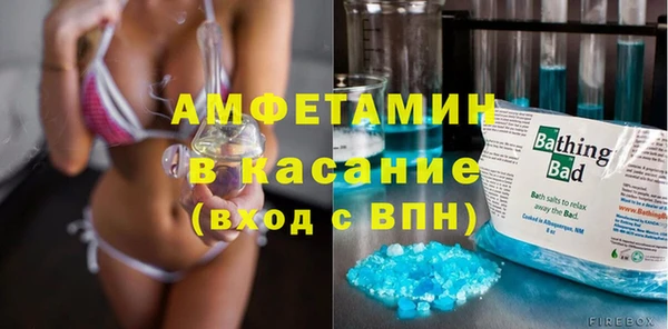 индика Алексин