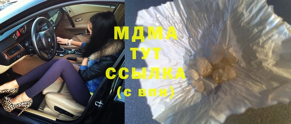 индика Алексин